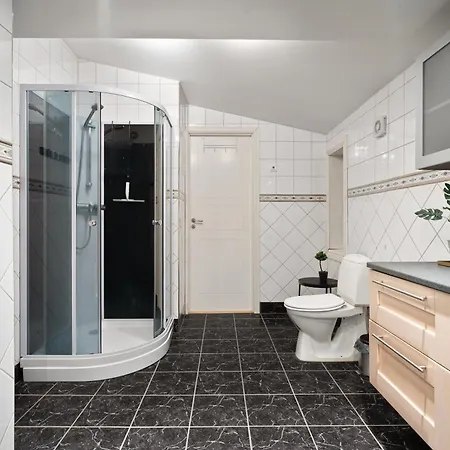 Elegant Large - Center Apartment